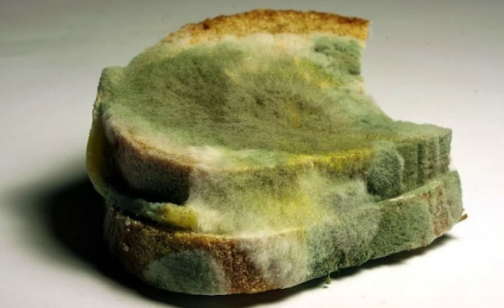 ¿Qué pasa si comes alimentos caducados?