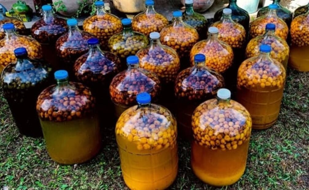 El jobo, bebida ancestral de los Huehues en las fiestas de Xantolo