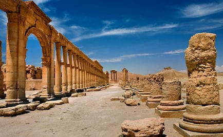 El escáner 3D, la herramienta para "incubar" aves Fénix