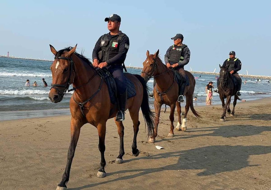 La Secretaría de Seguridad Pública (SSP) desplegó mil 700 elementos, entre Policía Estatal y sus distintas unidades. Foto: Especial