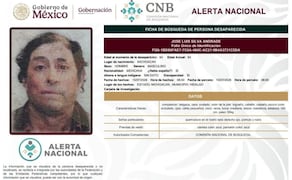 Ficha de búsqueda de José Luis Silva Andrade, defensor ambiental en Michoacán desaparecido. Foto: Comisión Nacional de Búsqueda (CNB).