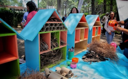 Lía Limón inaugura invernadero y hotel de insectos en la Álvaro Obregón