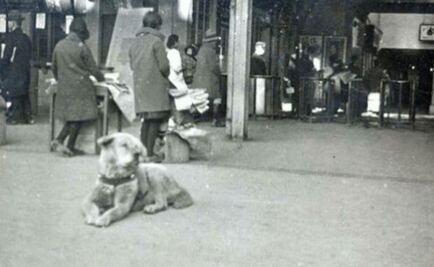 Recuerdan a Hachiko, el leal perro que conmovió a Japón