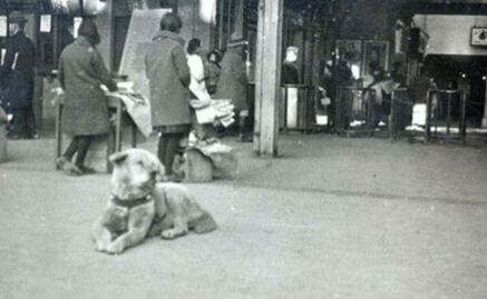 Recuerdan a Hachiko, el leal perro que conmovió a Japón