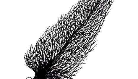 La también cruel temporada