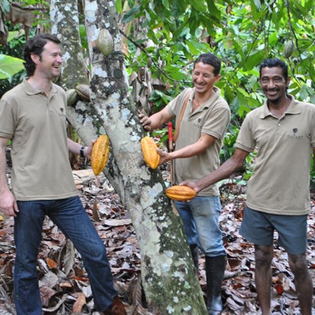 Ecuador: tierra de grandes cacaos