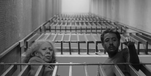 “No nos moverán”: la cinta mexicana aparece entre las elegibles al Oscar