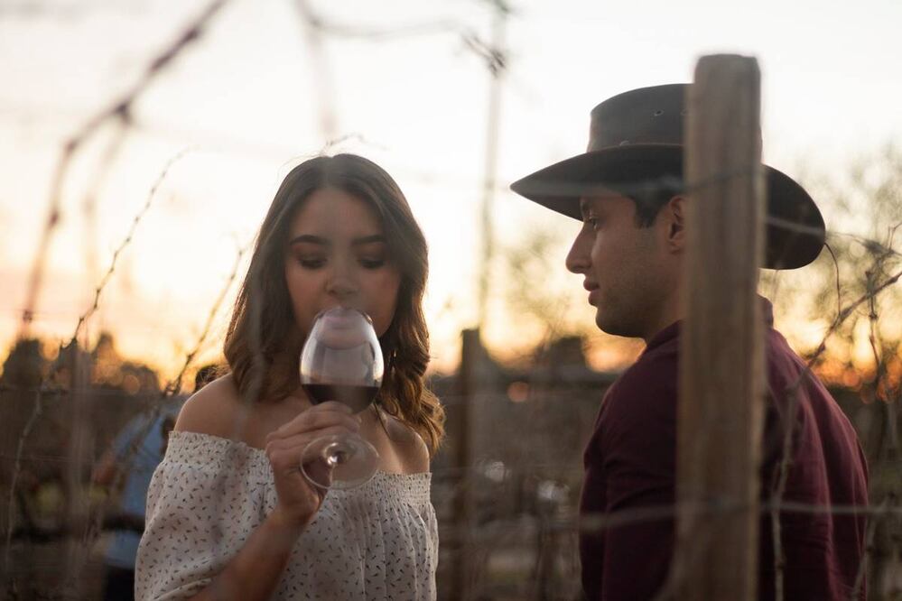 Foto: Vinícola Santa Elena