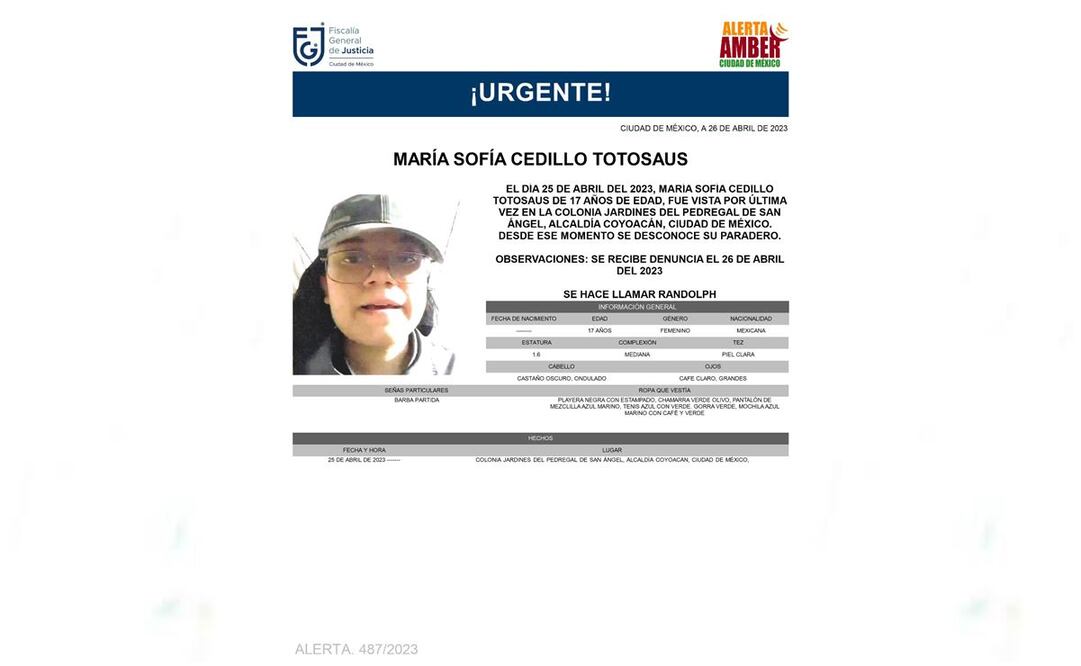 María Sofía Cedillo Totosaus, quien se hace llamar Randolph, estudiante del CCH Sur, se encuentra como no localizable