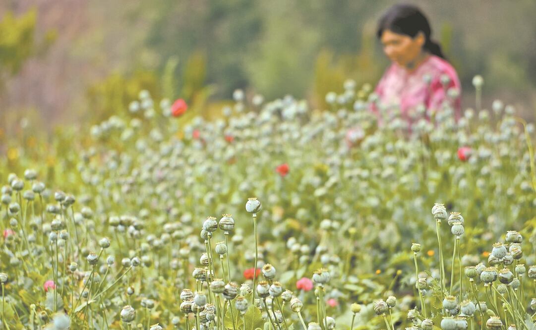 Foto: Archivo / EL UNIVERSAL