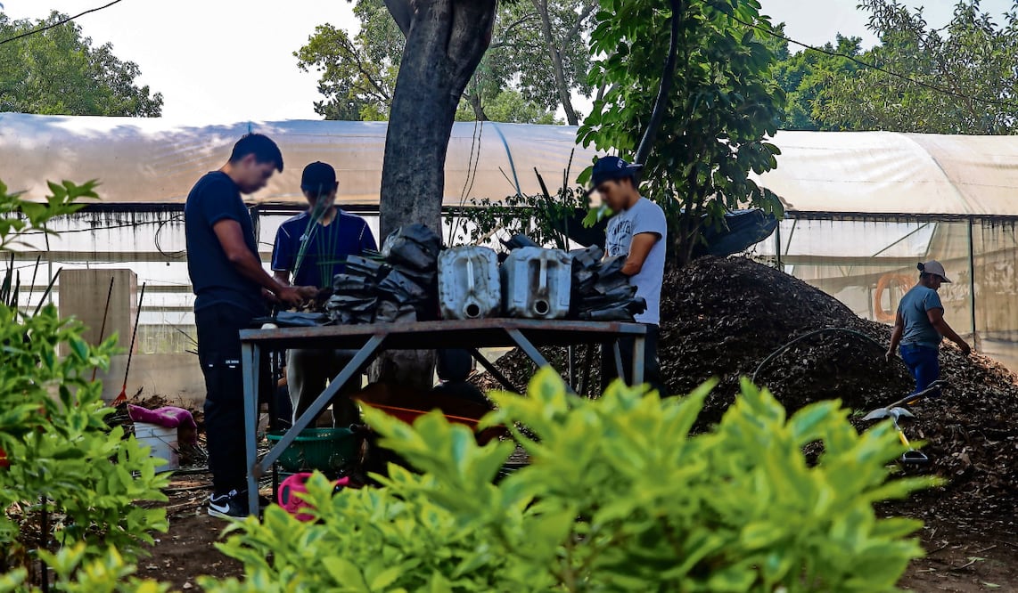 Ciudadanos de la capital sancionados por diversas faltas cívicas consideran que el trabajo comunitario resulta un “buen precio” a pagar por las infracciones cometidas, entre las que se encuentran orinar en la vía pública y tirar basura.