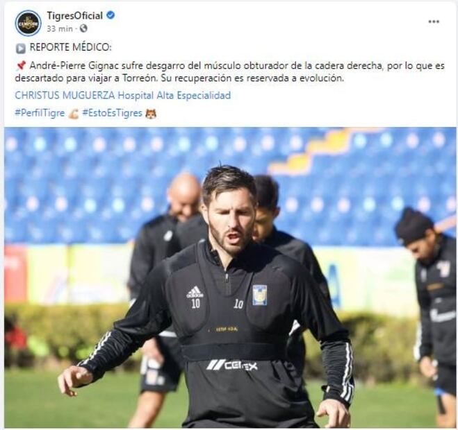 Tigres sufre la baja por lesión de André-Pierre Gignac 