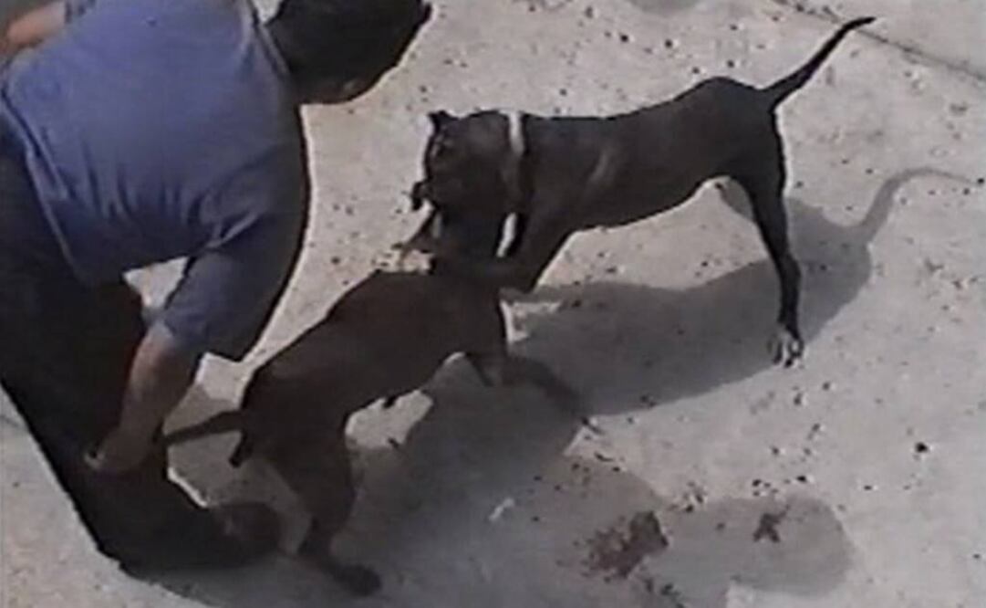 Foto: Archivo EL UNIVERSAL