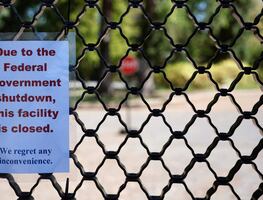 Senadores republicanos y demócratas alcanzan acuerdo para reabrir gobierno federal de EU, reportan medios