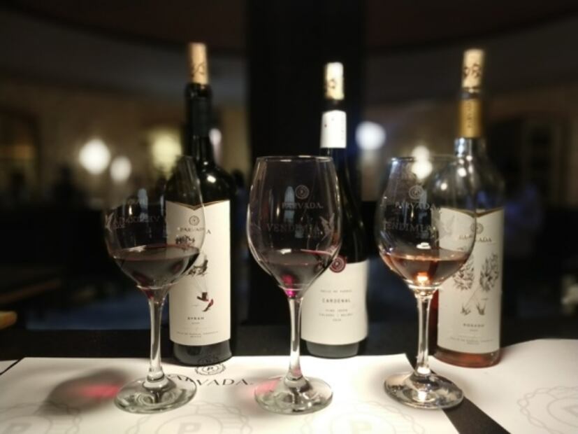 En Coahuila hay buen vino, conoce estas 4 bodegas