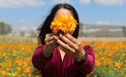 ¿No compras cempasúchil chino? Explican por qué es un error