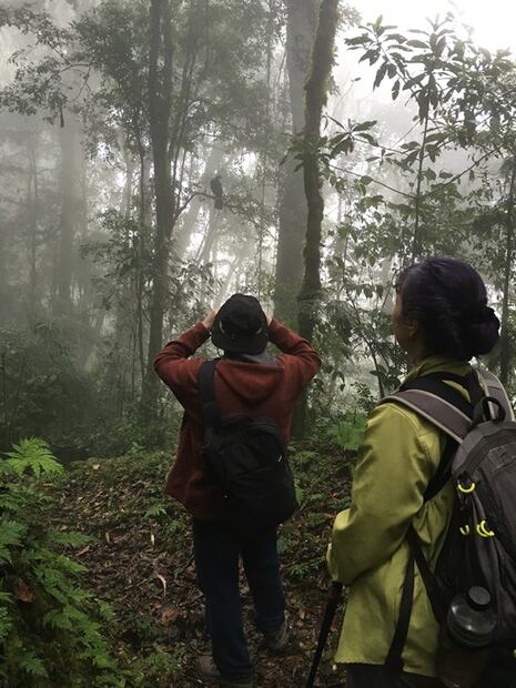 4 bosques mexicanos para viajar en primavera