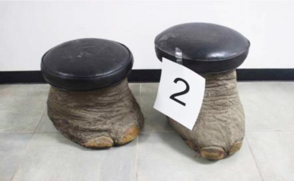 Pederasta se camufló en zona de menonitas de Chihuahua