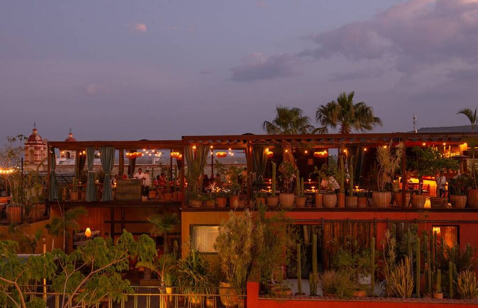 Vaca Marina ofrecerá una cena maridaje inspirada en Día de Muertos. Foto: @Tonypetate y @grupoamantes