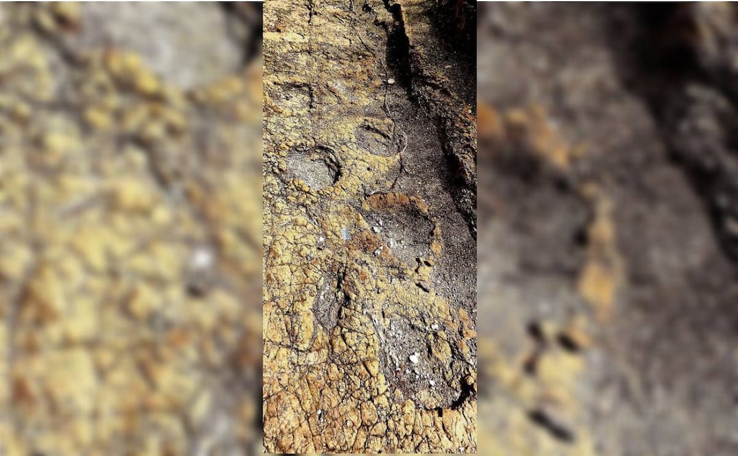 Huellas de hace 120 millones de años de, posiblemente, dinosaurios. Foto: INAH