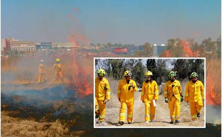 Incendios forestales disminuyen 91% en la alcaldía Álvaro Obregón: Lía Limón