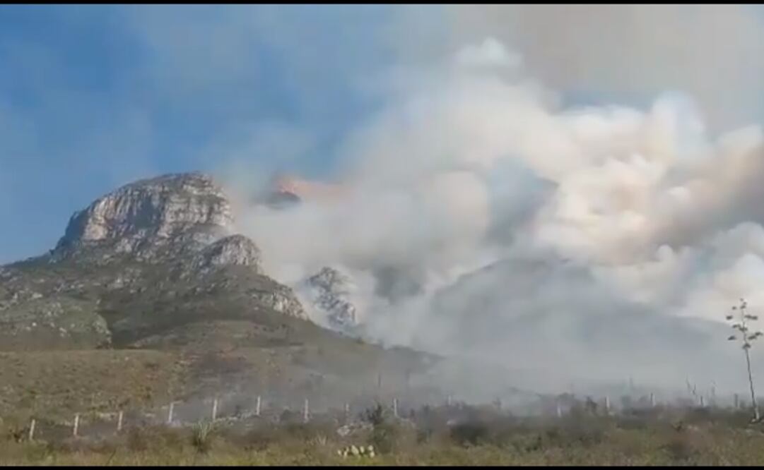 Foto: captura de pantalla