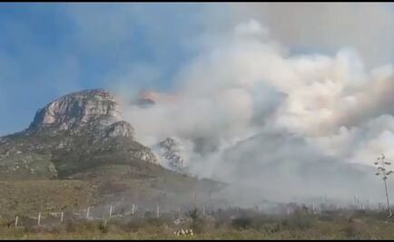 Combaten incendio forestal en Santa Catarina, NL