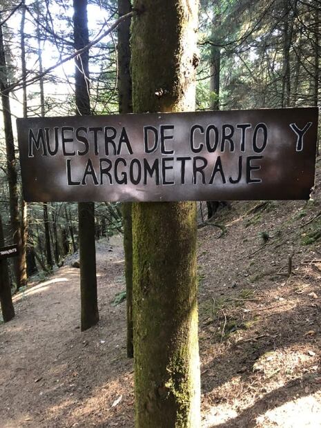 Noctambulante: campamento y cine de terror en un bosque de CDMX