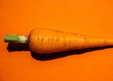 Prepara este nutritivo atole de zanahoria