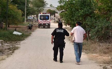 Picaduras de abejas causan la muerte de un adulto mayor en Maxcanú, Yucatán; intentó ahuyentar a los insectos