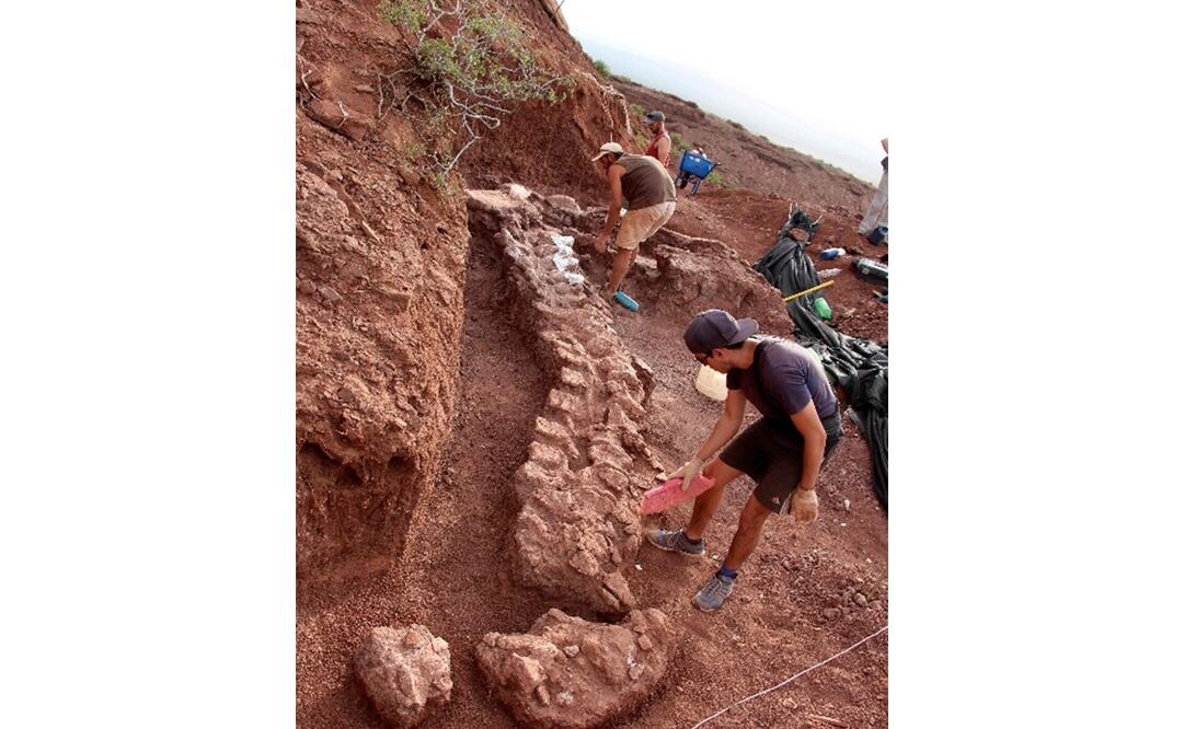 Foto: JOSE LUIS CARBALLIDO / CTyS-UNLaM / AFP