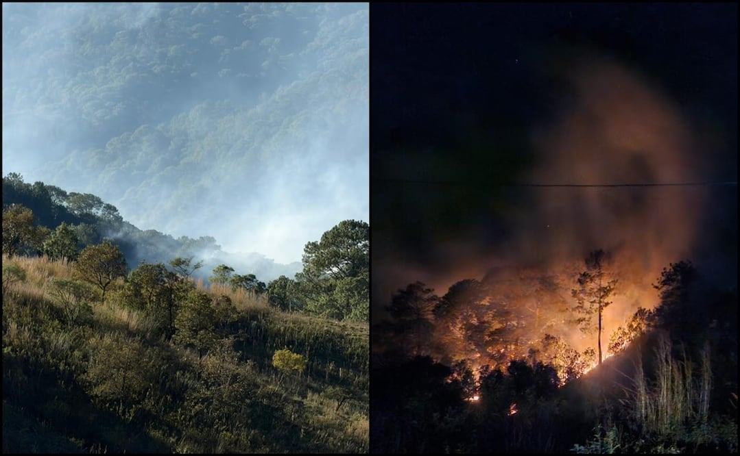 En estos incendios, trabajan al menos 20 combatientes para apagar el fuego. Foto: Especial