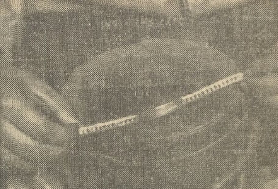 Paco Sierra: El barítono y esposo de Esperanza Iris que puso una bomba en un avión para volverse millonario