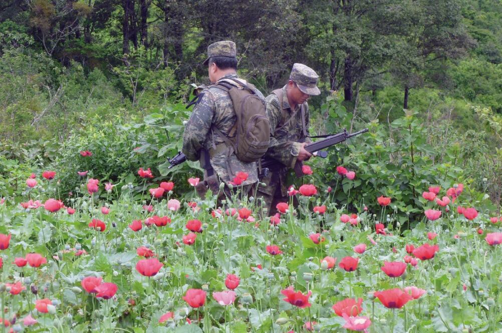 Jack Riley, subadministrador en funciones de la DEA, dijo que el aumento en el cultivo provocó un crecimiento en la inestabilidad y violencia en México (ARCHIVO EL UNIVERSAL)