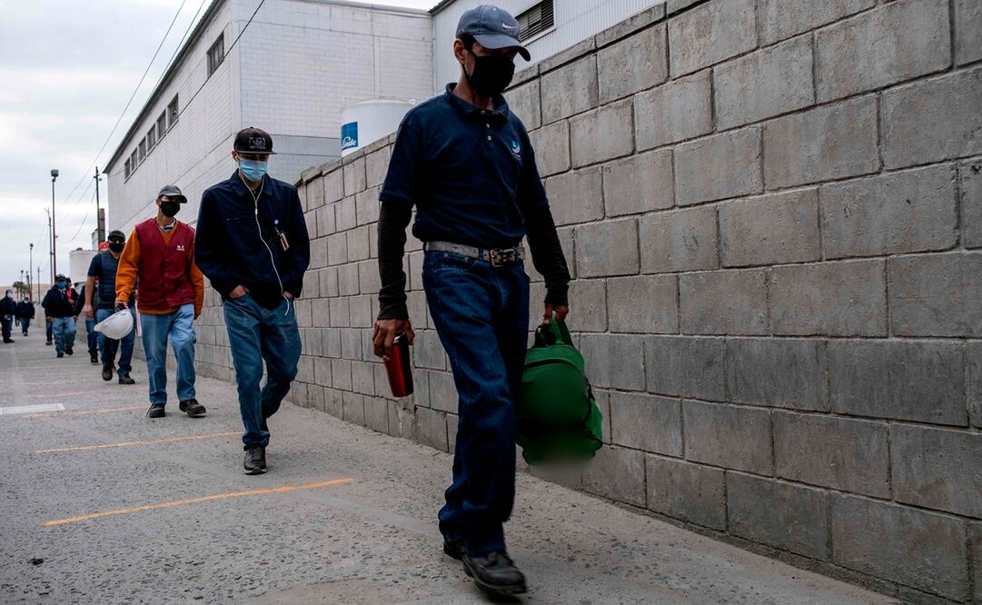En México, el 87% de los empleados promedio podrían estar más plenos en su vida profesional, el 69% sufre de estrés laboral y el 77% culpa a las empresas de su insatisfacción. Foto: AFP/Archivo