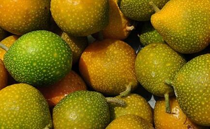 Un árbol podría ser un aliado contra el hambre y el cambio climático