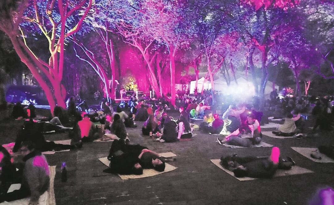 Picnic nocturno regresa al bosque de Chapultepec. Foto: EL UNIVERSAL 