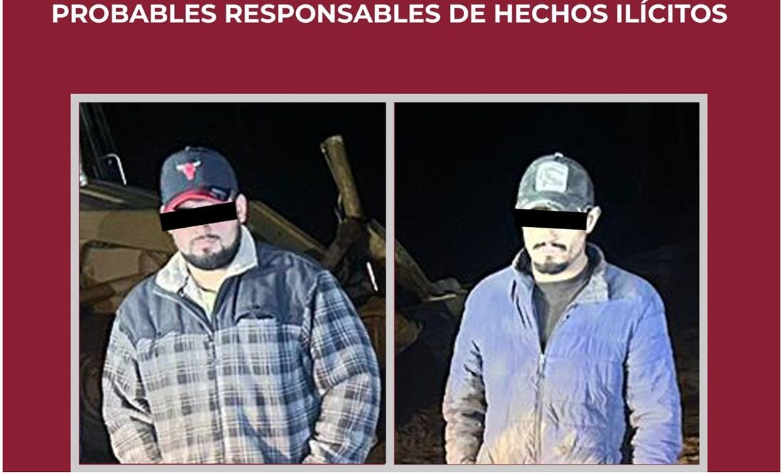 Tala de árboles. Foto: Especial