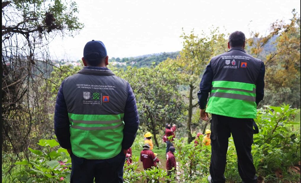 Personal de la Sedema realizó un operativo en la zona boscosa de Los Dinamos, donde se intervinieron 10 hectáreas, cuatro de ellas ocupadas ilegalmente. Foto: especial