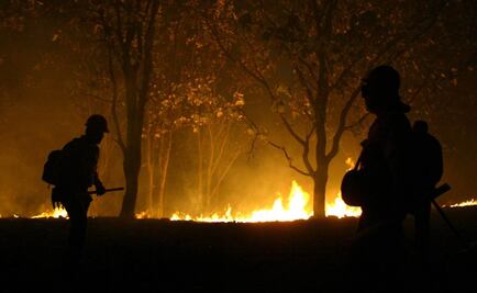 Piden declaratoria de emergencia por incendio en Ensenada