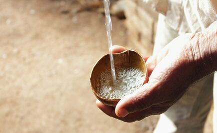 Mujeres mexicanas en la industria del mezcal