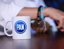 PAN va por crear Comisión para atender casos de violencia contra servidores públicos; se encargará de investigar amenazas