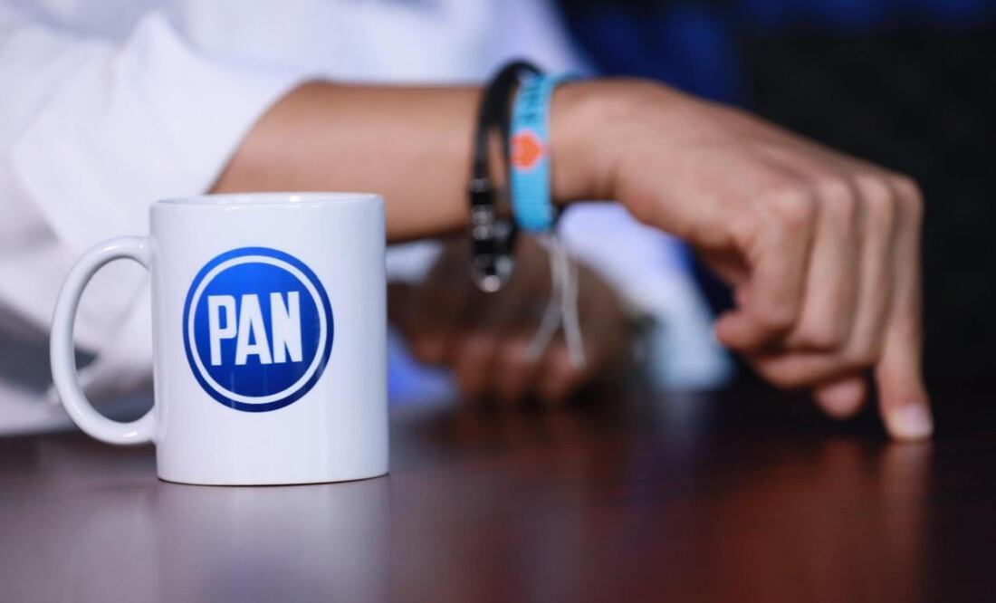 Acción Nacional anuncia su "Marcha del Relanzamiento" para reconectar con la ciudadanía. Foto: Especial