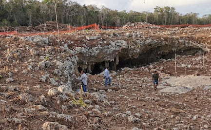Pese a cancelación de reunión con AMLO, especialistas y activistas viajan a la CDMX 