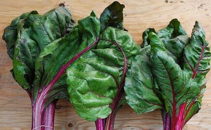 Descubre qué son las acelgas y sus beneficios