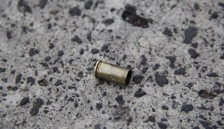 Motociclistas disparan contra “El Canelo”, un perro que resguardaba taller mecánico en León, Guanajuato