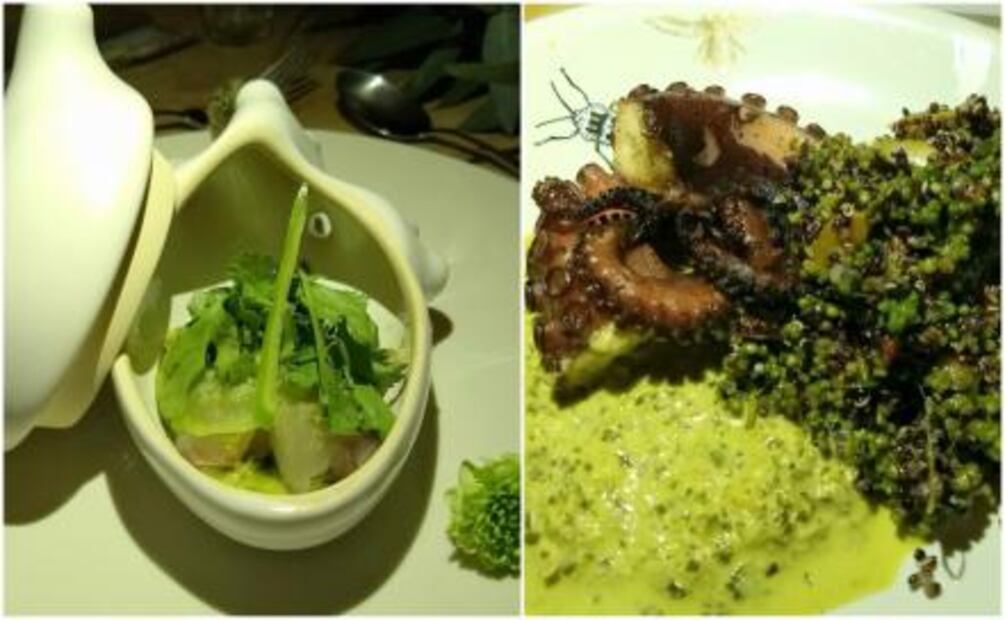 Nómada: Una propuesta culinaria diferente