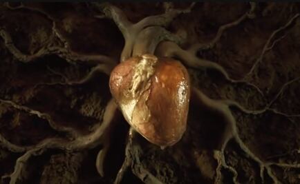 ¿De qué trata la canción de Calle 13 que parafraseó AMLO?