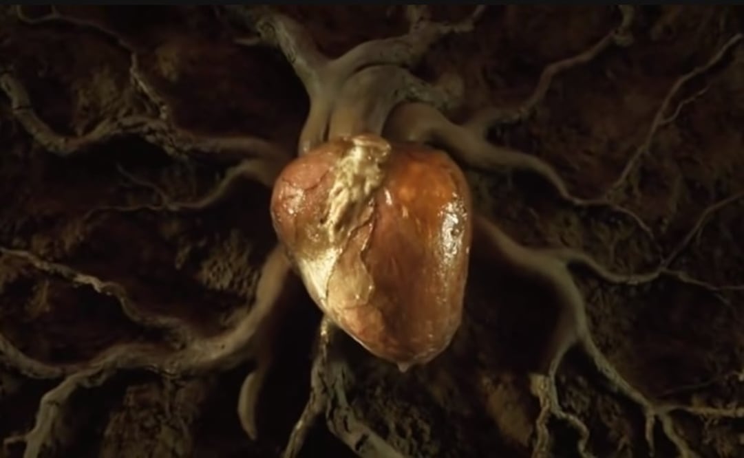 Escena del video. Foto: Captura de pantalla