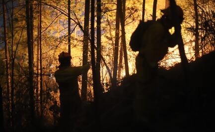 Más de 14 mil hectáreas han sido consumidas por los incendios forestales en NL: autoridades